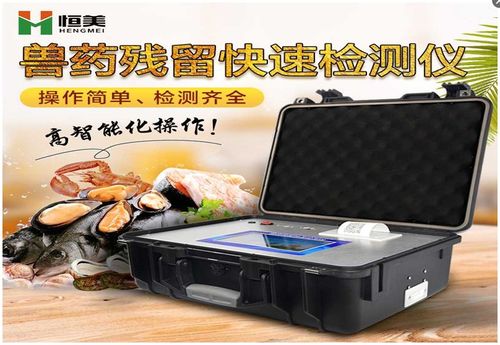 食品工業(yè)新引擎 以爐灶節(jié)能科技創(chuàng)新驅(qū)動高質(zhì)量發(fā)展